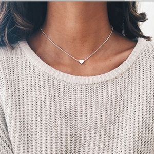 Short Silver Necklace with Heart Charm 🖤